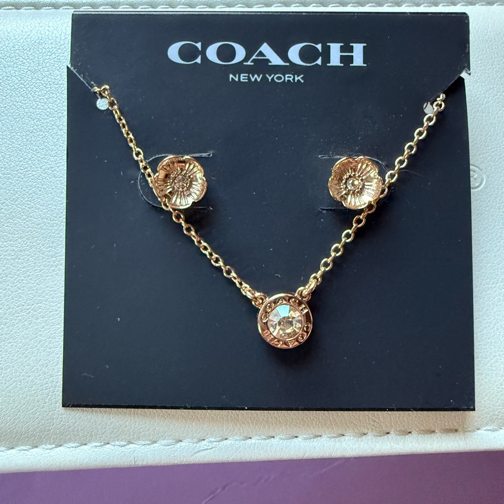 Coach earring and necklace set